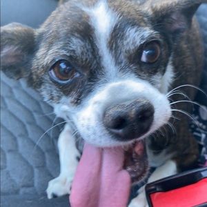 Meet your Posher, Tiffni